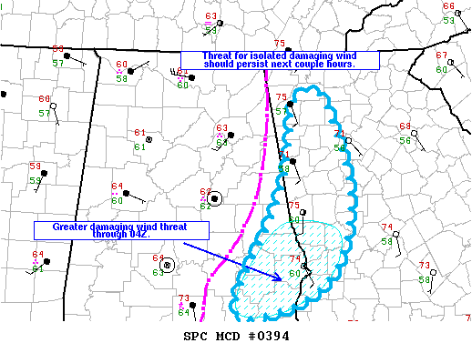 Mesoscale Discussion 394