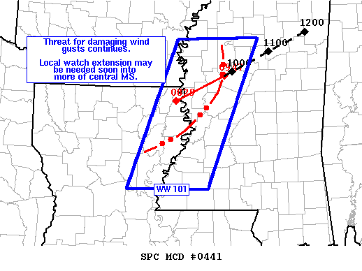 Mesoscale Discussion 441