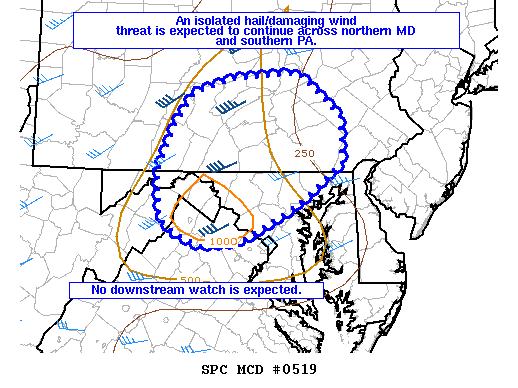 Mesoscale Discussion 519