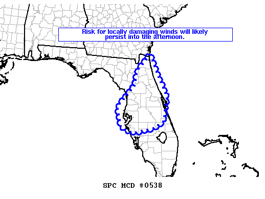 Mesoscale Discussion 538