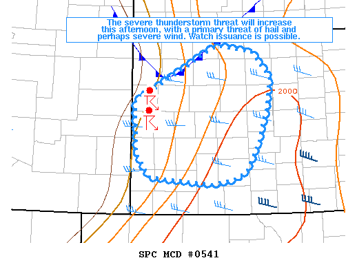 Mesoscale Discussion 541