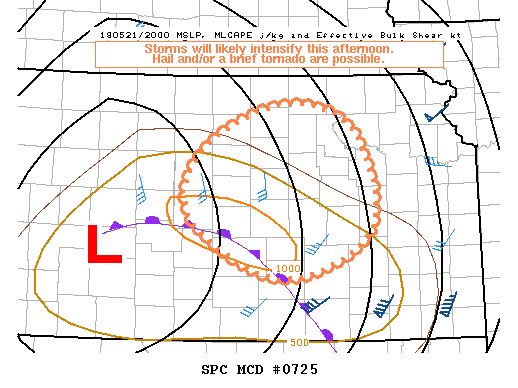 Mesoscale Discussion 725