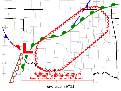 Mesoscale Discussion 733