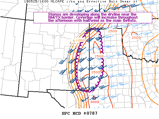 Mesoscale Discussion 787