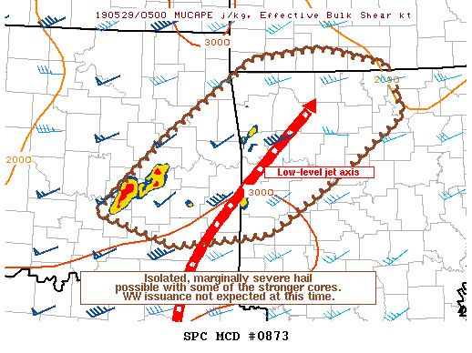Mesoscale Discussion 873