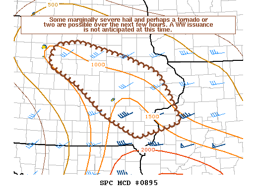 Mesoscale Discussion 895