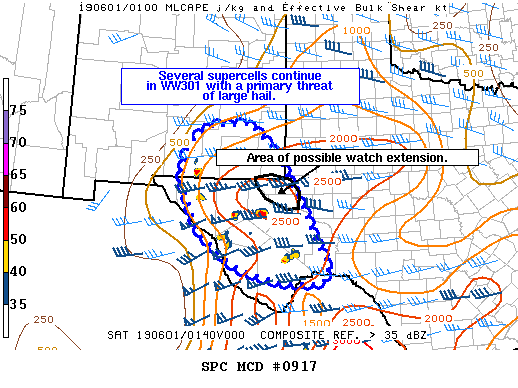 Mesoscale Discussion 917