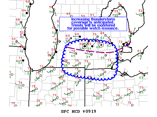 Mesoscale Discussion 919