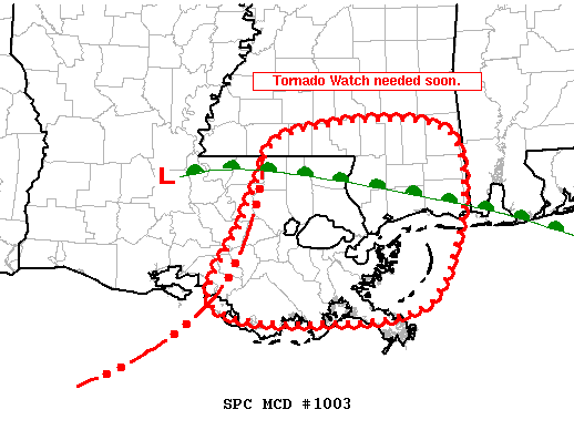 Mesoscale Discussion 1003
