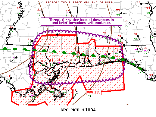 Mesoscale Discussion 1004
