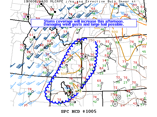 Mesoscale Discussion 1005
