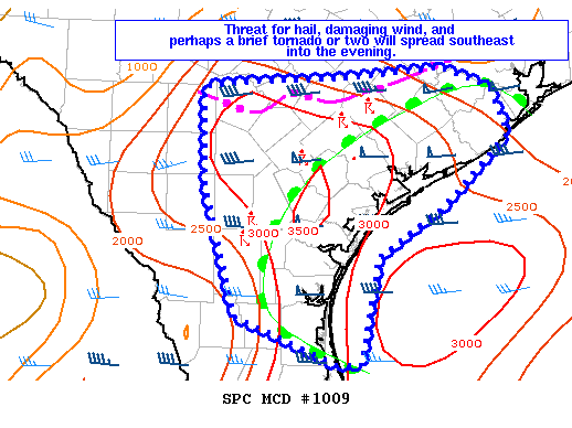 Mesoscale Discussion 1009