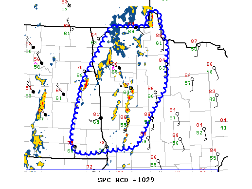 Mesoscale Discussion 1029