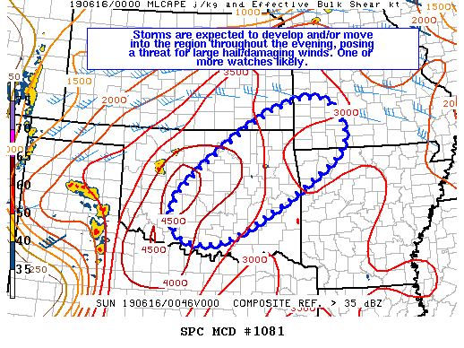 Mesoscale Discussion 1081