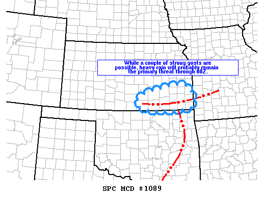 Mesoscale Discussion 1089