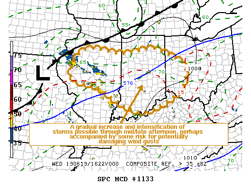 Mesoscale Discussion 1133