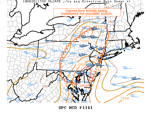 Mesoscale Discussion 1161