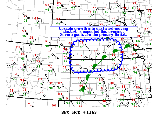 Mesoscale Discussion 1169