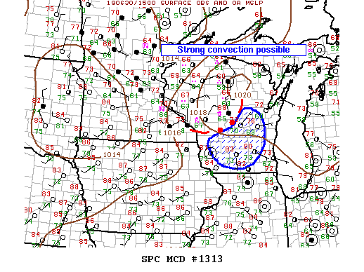 Mesoscale Discussion 1313