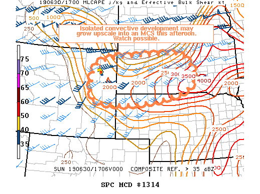 Mesoscale Discussion 1314