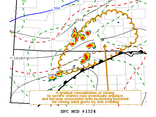 Mesoscale Discussion 1324