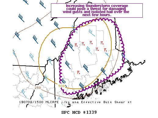 Mesoscale Discussion 1339