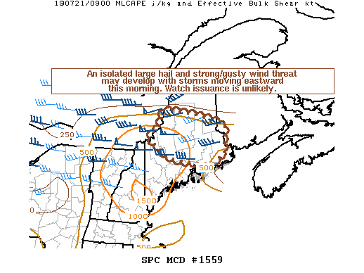 Mesoscale Discussion 1559