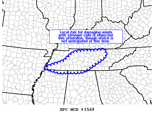 Mesoscale Discussion 1569