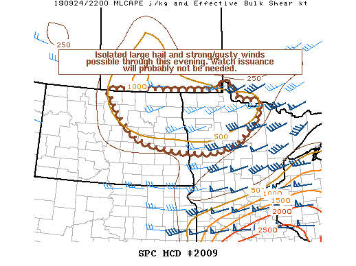 Mesoscale Discussion 2009
