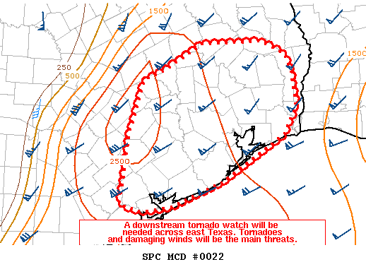 Mesoscale Discussion 22
