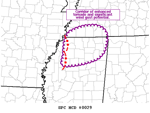 Mesoscale Discussion 29