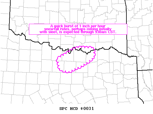 Mesoscale Discussion 31