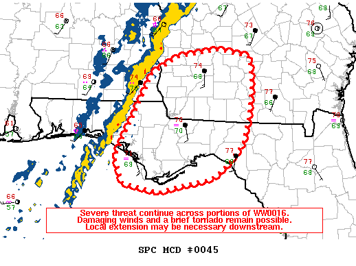 Mesoscale Discussion 45