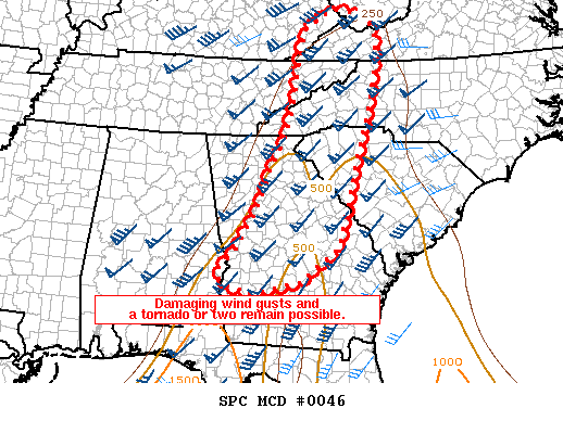 Mesoscale Discussion 46