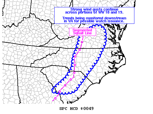 Mesoscale Discussion 49
