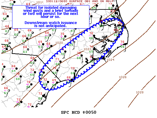 Mesoscale Discussion 50