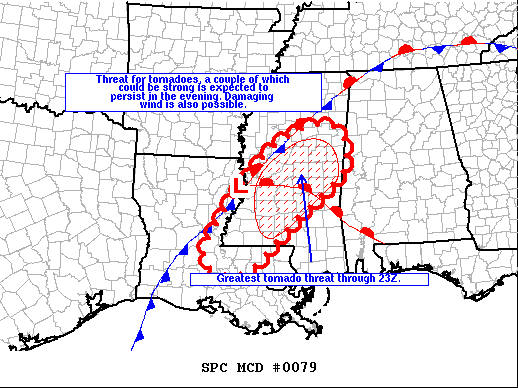 Mesoscale Discussion 79
