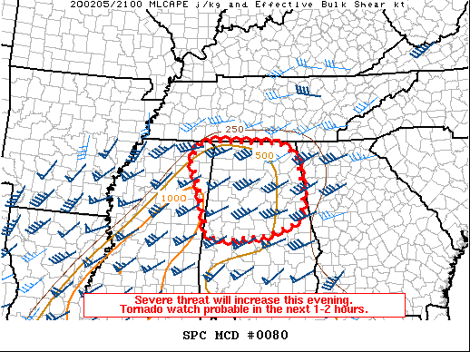 Mesoscale Discussion 80