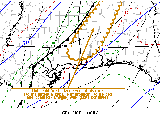 Mesoscale Discussion 87