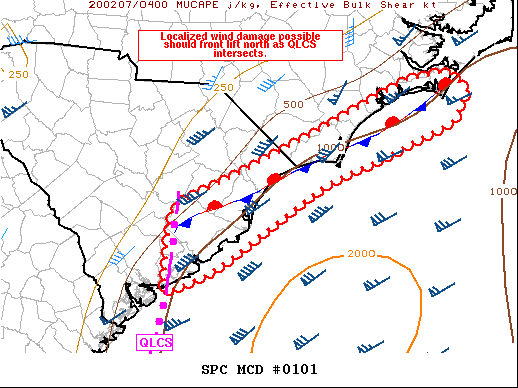 Mesoscale Discussion 101