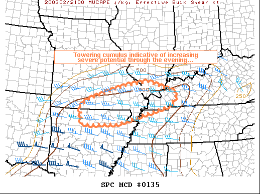 Mesoscale Discussion 135