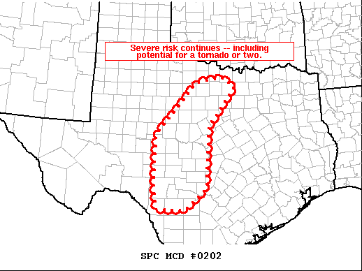 Mesoscale Discussion 202