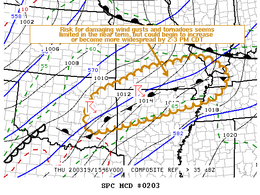 Mesoscale Discussion 203