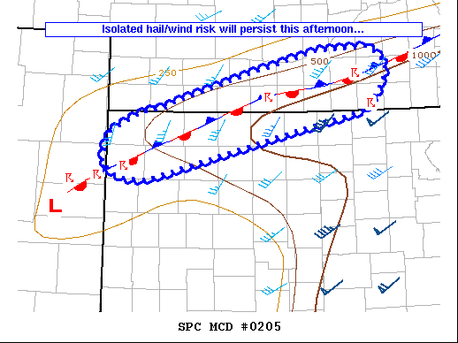 Mesoscale Discussion 205