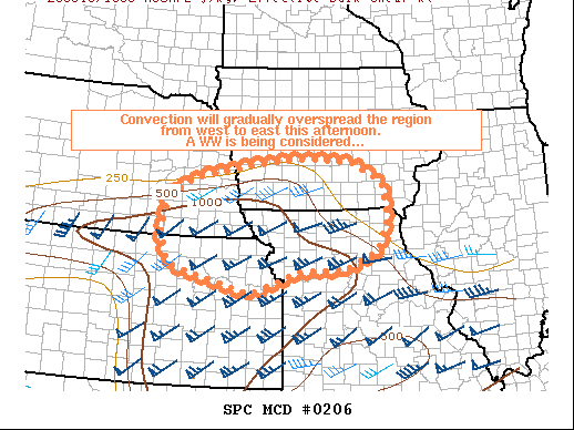 Mesoscale Discussion 206