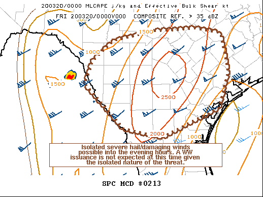 Mesoscale Discussion 213