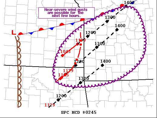 Mesoscale Discussion 245