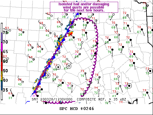 Mesoscale Discussion 246