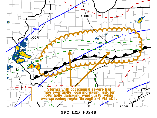 Mesoscale Discussion 248