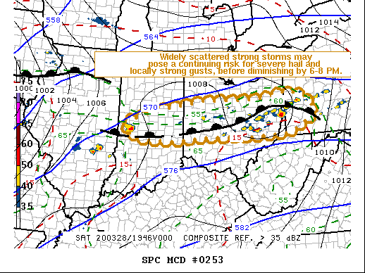 Mesoscale Discussion 253